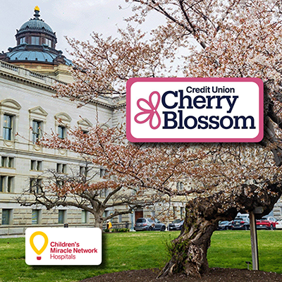LCFCU Participates in the 2025 CU Cherry Blossom Run/Walk